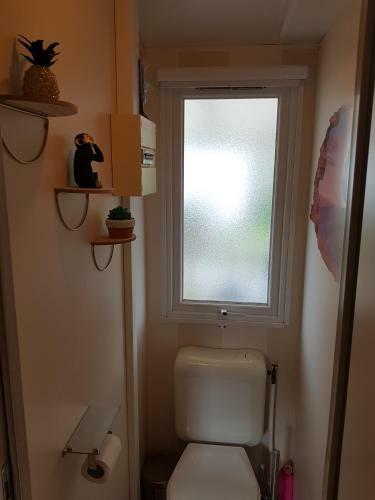 Mobile Home Tout Confort Alexandre
