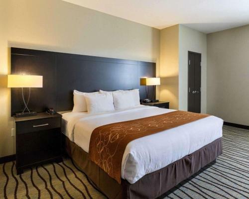 Hotel Comfort Suites Westbelt
