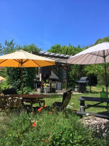 Agroturismo Loire Valley Llama Farm Stay