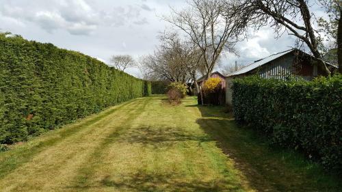 Bed & Breakfast Renard Retreat