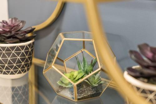 Modern Boutique Hotel In Middletowns Torchlight Pass Revival District 301