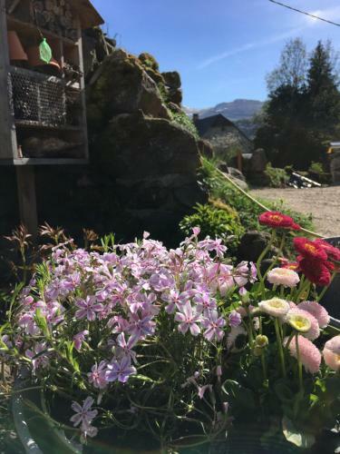 Bed & Breakfast Chez Mary Elise
