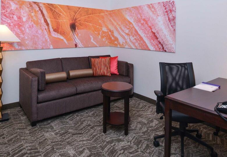Hotel Springhill Suites By Marriott Oklahoma City Airport