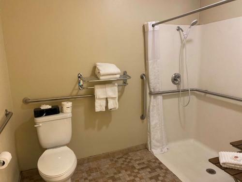 Hotel Comfort Inn Jonestown