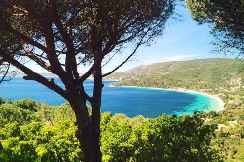 Apartamento Magnifique Studio � 50m De La Plage De Cavaliere