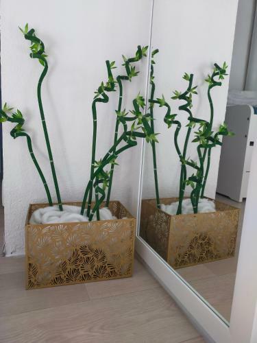 Apartamento R�sidence Les Estivales
