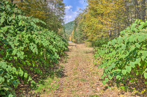 Home On Shared 10 Acres, On-site Trail Access