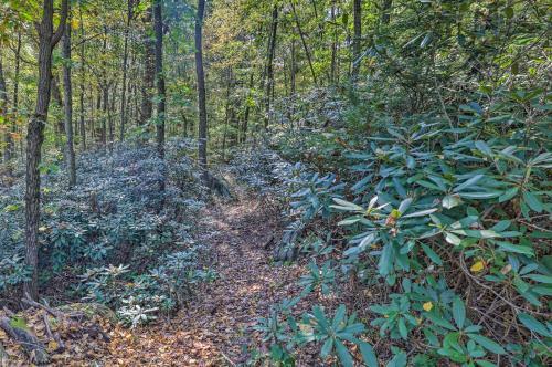 Home On Shared 10 Acres, On-site Trail Access