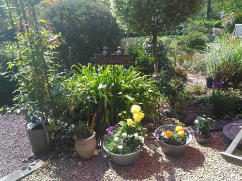 Bed & Breakfast Les Muscaris