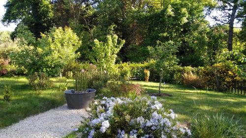 Bed & Breakfast Les Muscaris