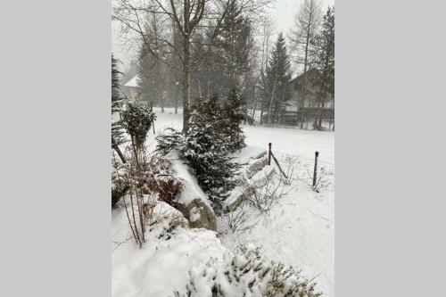 Le Serre Barbin : Chalet Ensoleill�, Tout Confort