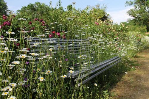 Domaine Des Roches Blanches - Site Class�