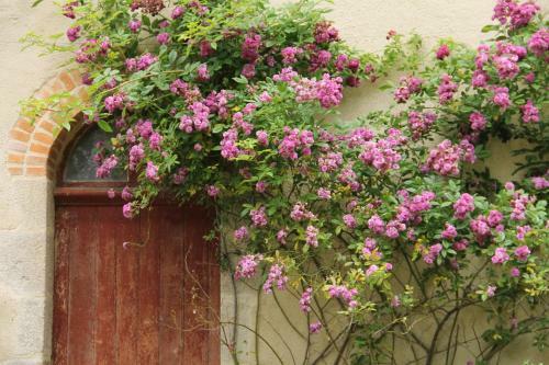 Domaine Des Roches Blanches - Site Class�