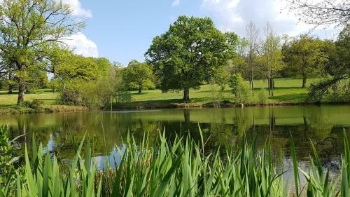 Domaine Des Roches Blanches - Site Class�