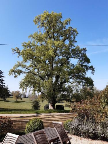 Domaine Des Roches Blanches - Site Class�