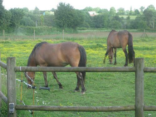 Bed & Breakfast Les Croisettes