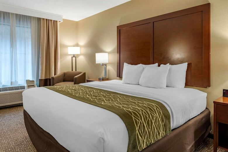 Hotel Comfort Inn & Suites Pittsburgh