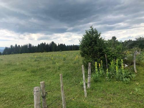 Apartamento La Cabane Du Mont De L'herba