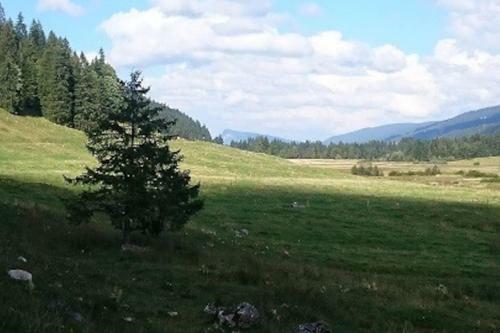 Apartamento G�te Du Bief De La Chaille