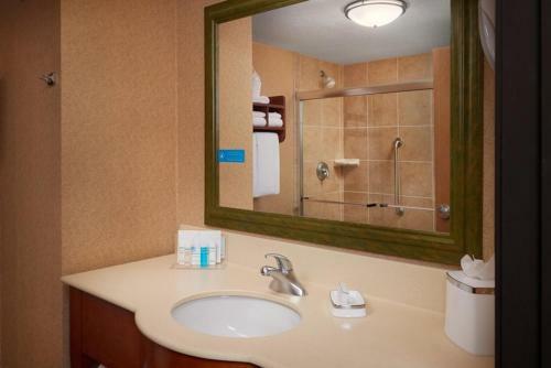 Hotel Hampton Inn Youngstown West