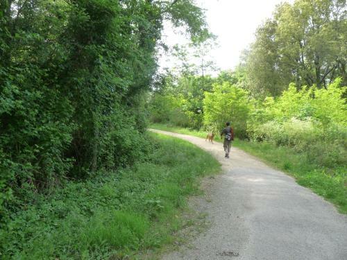 Gites De L'allerie