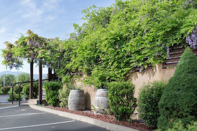 Hotel Rogue Regency Inn & Suites