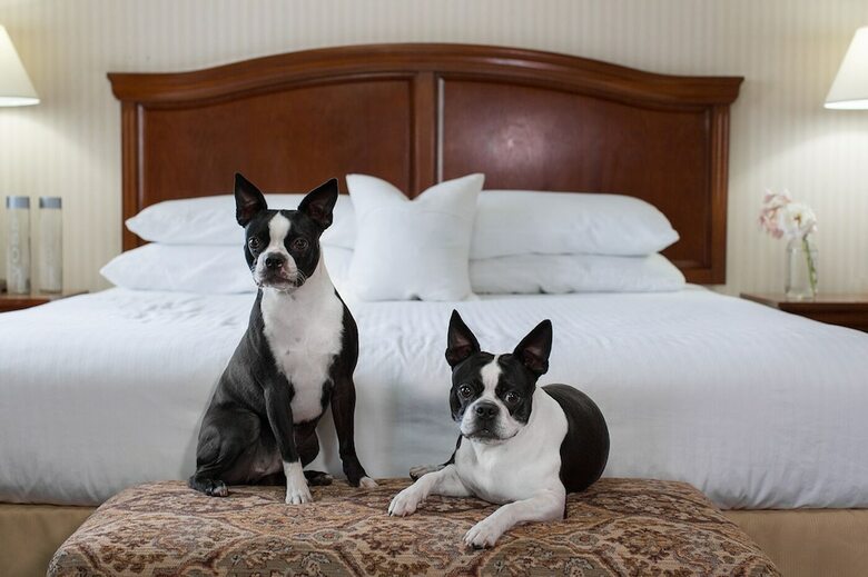 Hotel Rogue Regency Inn & Suites
