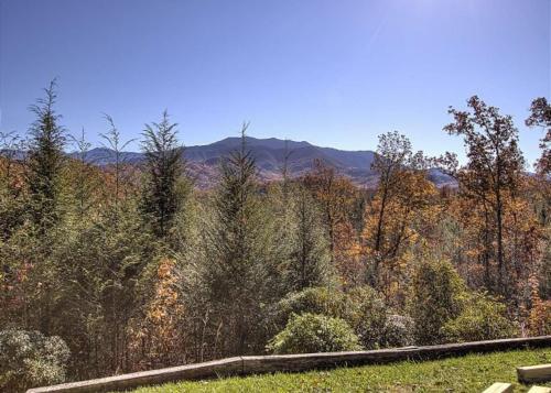 Far Horizons #416 By Aunt Bug's Cabin Rentals