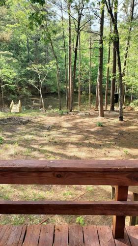 Lost Paradise Is Your Private Cabin In The Forest