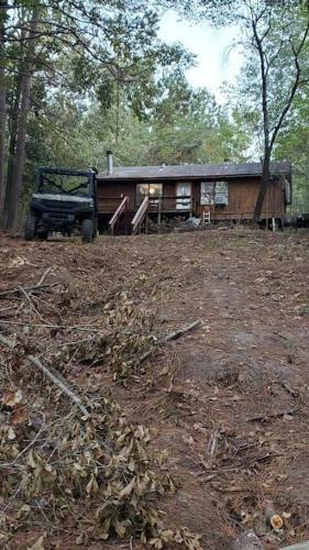 Lost Paradise Is Your Private Cabin In The Forest