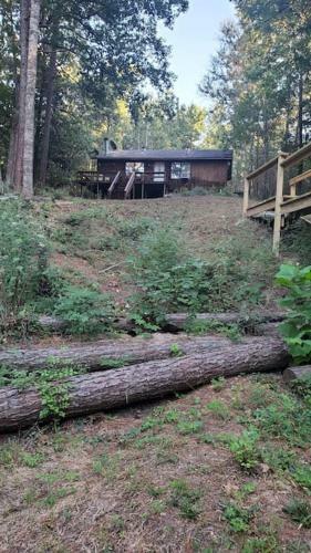Lost Paradise Is Your Private Cabin In The Forest