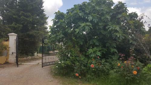 Bed & Breakfast La Villa Proven�ale
