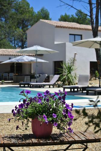Bed & Breakfast Villa Carpe Diem
