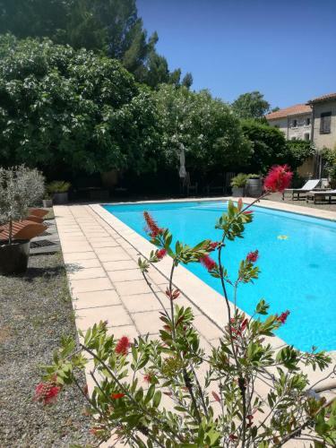 Bed & Breakfast Mon Petit Souli�