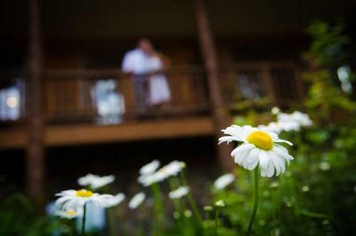 Bed & Breakfast The Fern Lodge