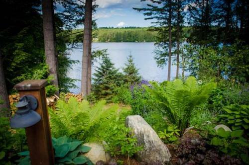Bed & Breakfast The Fern Lodge