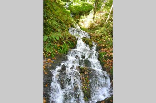 Apartamento Appartement Refait � Neuf Dans Quartier Thermal