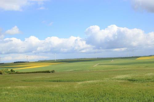 Les Bois De Champagne L'industriel