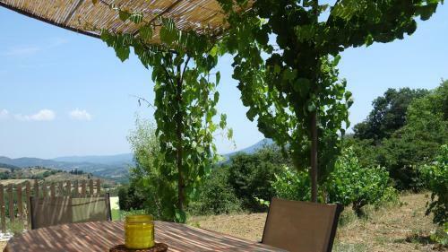 G�te Vigneron Du Domaine D'alon