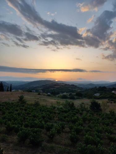 G�te Vigneron Du Domaine D'alon