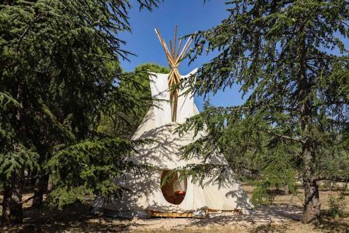 � Campement Des Possibles