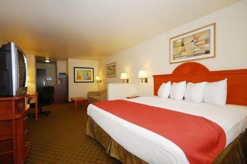 Hotel Best Western Inn & Suites - Henrietta