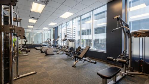 Cozysuites Gorgeous 1br 1ba Apartment Downtown