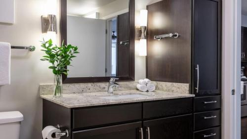 Cozysuites Gorgeous 1br 1ba Apartment Downtown