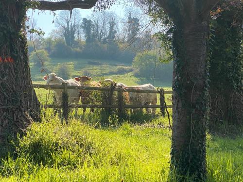 La Long�re