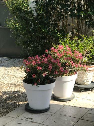 Bed & Breakfast Chambres D'h�tes Les Oliviers - Marignane