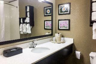 Hotel Comfort Suites Regency Park