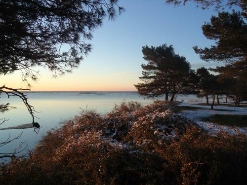 Bed & Breakfast Au Bord De Thau