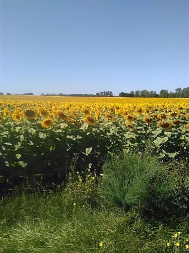 Bed & Breakfast Villeneuve Mauprevoir