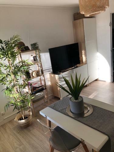 Apartamento Studio Cosy Carnon-plage - Clim Et Wifi Proche Montpellier